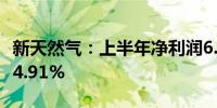 新天然气：上半年净利润6.05亿元 同比增长24.91%