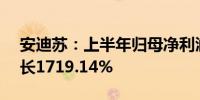 安迪苏：上半年归母净利润6.08亿元同比增长1719.14%