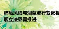 肺癌风险与烟草流行紧密相关专家：全国性控烟立法亟需推进