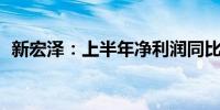 新宏泽：上半年净利润同比增长1063.48%