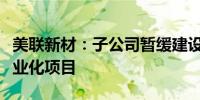 美联新材：子公司暂缓建设锂电池湿法隔膜产业化项目