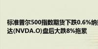 标准普尔500指数期货下跌0.6%纳指期货开跌1.1%受英伟达(NVDA.O)盘后大跌8%拖累