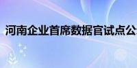 河南企业首席数据官试点公示48家企业入选