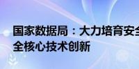 国家数据局：大力培育安全产业 加快数据安全核心技术创新