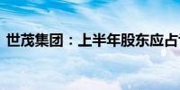 世茂集团：上半年股东应占亏损226.68亿元