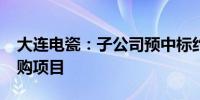 大连电瓷：子公司预中标约6160万元国网采购项目