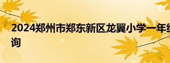 2024郑州市郑东新区龙翼小学一年级分班查询