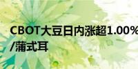 CBOT大豆日内涨超1.00%现报1002.50美分/蒲式耳