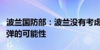 波兰国防部：波兰没有考虑击落乌克兰上空导弹的可能性