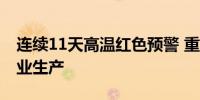 连续11天高温红色预警 重庆多措并举保障农业生产