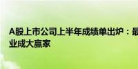 A股上市公司上半年成绩单出炉：最牛日赚9.37亿元电子行业成大赢家