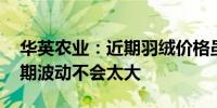 华英农业：近期羽绒价格虽有所松动 预计后期波动不会太大