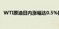 WTI原油日内涨幅达0.5%报73.92美元/桶