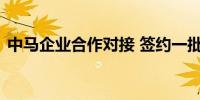 中马企业合作对接 签约一批榴莲进出口项目