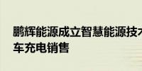 鹏辉能源成立智慧能源技术公司 业务含机动车充电销售