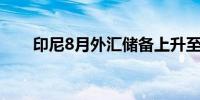 印尼8月外汇储备上升至1502亿美元