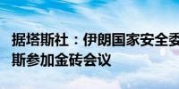 据塔斯社：伊朗国家安全委员会秘书抵达俄罗斯参加金砖会议