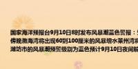 国家海洋预报台9月10日8时发布风暴潮蓝色警报：受冷空气影响预计：9月10日上午到傍晚渤海湾将出现60到100厘米的风暴增水莱州湾将出现50到90厘米的风暴增水山东省潍坊市的风暴潮预警级别为蓝色预计9月10日夜间解除风暴潮警报