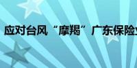 应对台风“摩羯”广东保险业已赔6890万元