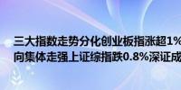 三大指数走势分化创业板指涨超1%锂矿、光伏等新能源方向集体走强上证综指跌0.8%深证成指现涨0.42%