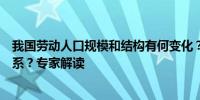 我国劳动人口规模和结构有何变化？与“延迟退休”有何联系？专家解读