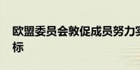 欧盟委员会敦促成员努力实现2030年能源目标