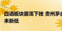 白酒板块震荡下挫 贵州茅台创2022年11月以来新低