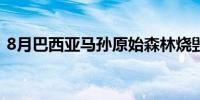 8月巴西亚马孙原始森林烧毁面积增加132%