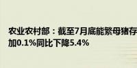 农业农村部：截至7月底能繁母猪存栏量为4041万头环比增加0.1%同比下降5.4%