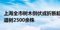 上海全市树木倒伏或折断超万株已处置倒伏行道树2500余株