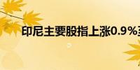 印尼主要股指上涨0.9%至7903.25点