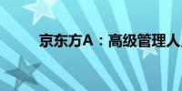 京东方A：高级管理人员张羽辞职