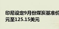 印尼设定9月份煤炭基准价格为每吨35.89美元至125.15美元