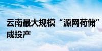 云南最大规模“源网荷储”新能源集群项目建成投产