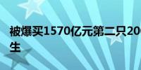 被爆买1570亿元第二只2000亿股票型基金诞生