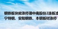 钢铁板块掀涨停潮中南股份2连板凌钢股份、八一钢铁、西宁特钢、安阳钢铁、本钢板材涨停