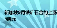 新加坡9月铁矿石合约上涨5.02%至每吨93.95美元