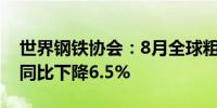 世界钢铁协会：8月全球粗钢产量1.448亿吨同比下降6.5%