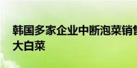 韩国多家企业中断泡菜销售 紧急进口中国产大白菜