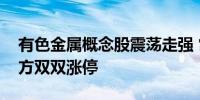 有色金属概念股震荡走强 常铝股份、焦作万方双双涨停