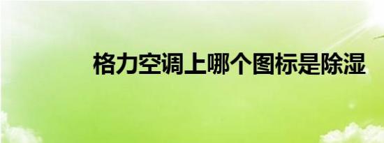 格力空调上哪个图标是除湿