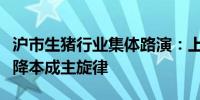 沪市生猪行业集体路演：上半年业绩回暖扩产降本成主旋律