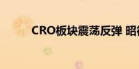 CRO板块震荡反弹 昭衍新药涨停