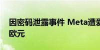 因密码泄露事件 Meta遭爱尔兰罚款9100万欧元