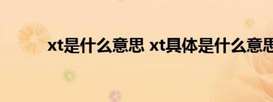 xt是什么意思 xt具体是什么意思