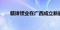 赣锋锂业在广西成立新能源科技公司