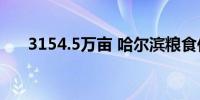 3154.5万亩 哈尔滨粮食作物丰收在望