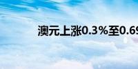 澳元上涨0.3%至0.69335美元