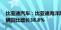 比亚迪汽车：比亚迪海洋网9月销售194099辆同比增长38.8%