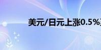 美元/日元上涨0.5%至147.23